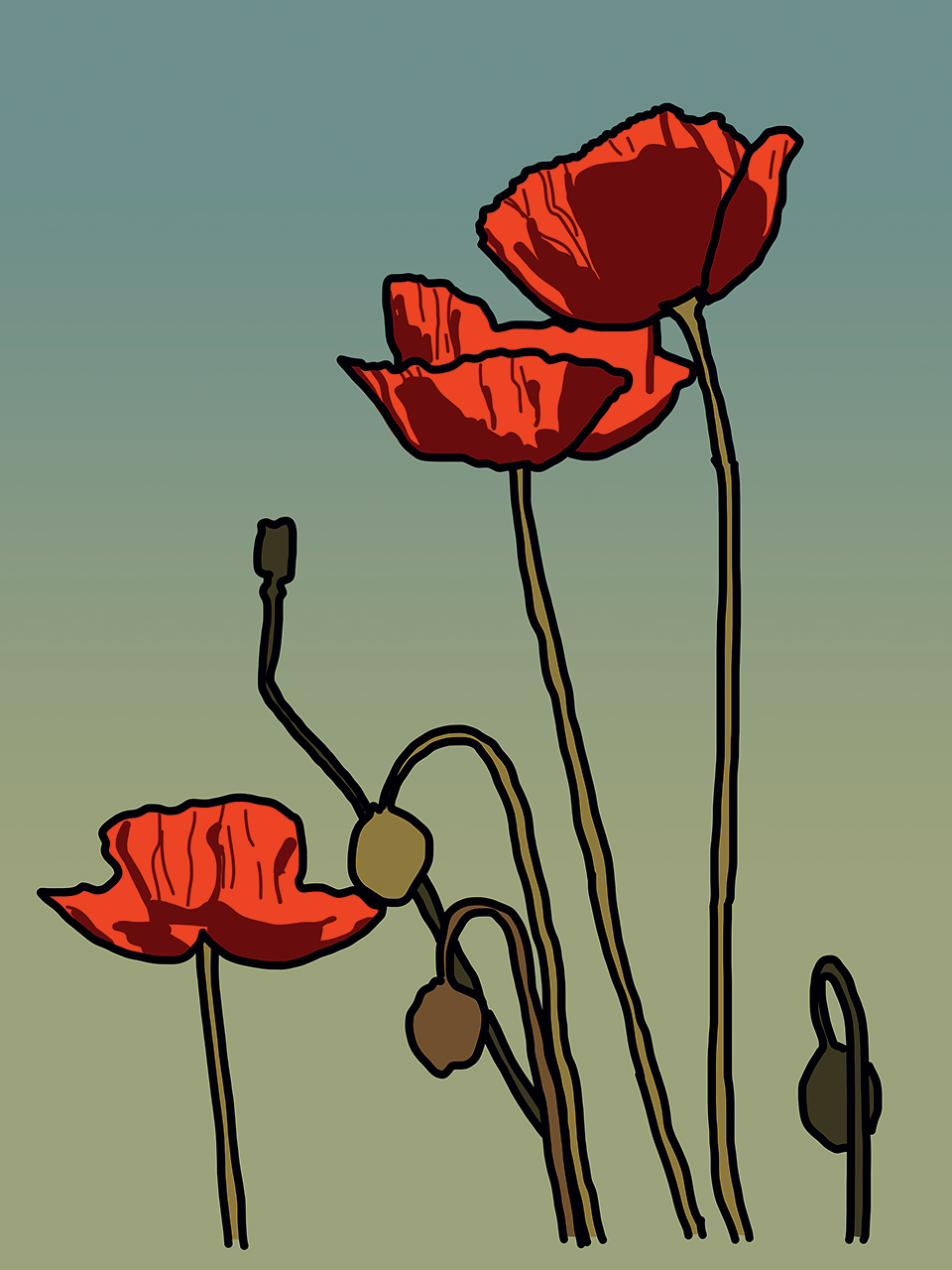 Poppies