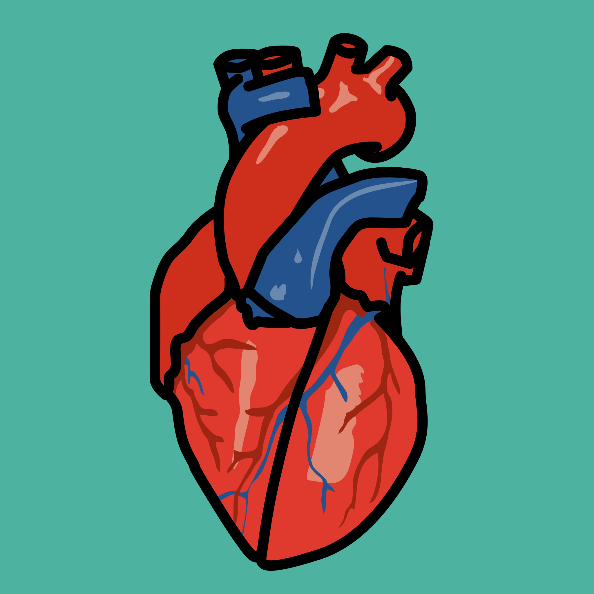 Heart